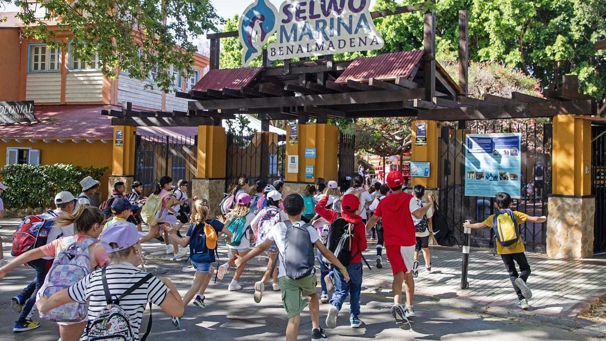 Campamentos infantiles y juveniles educativos de Semana Santa