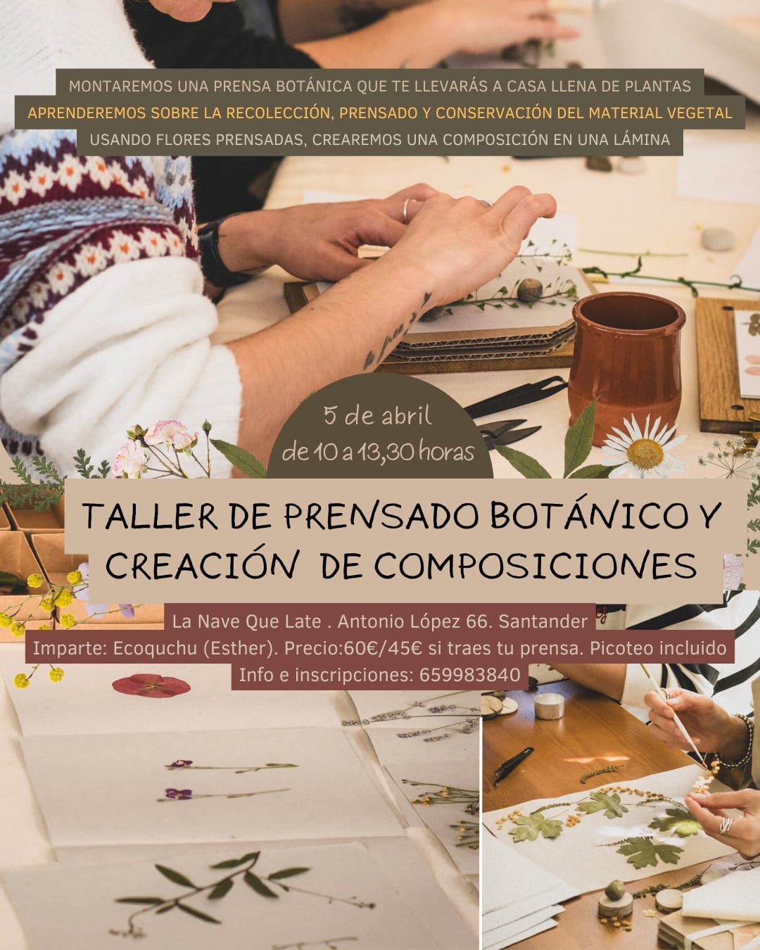 Taller de prensado de flores y plantas
