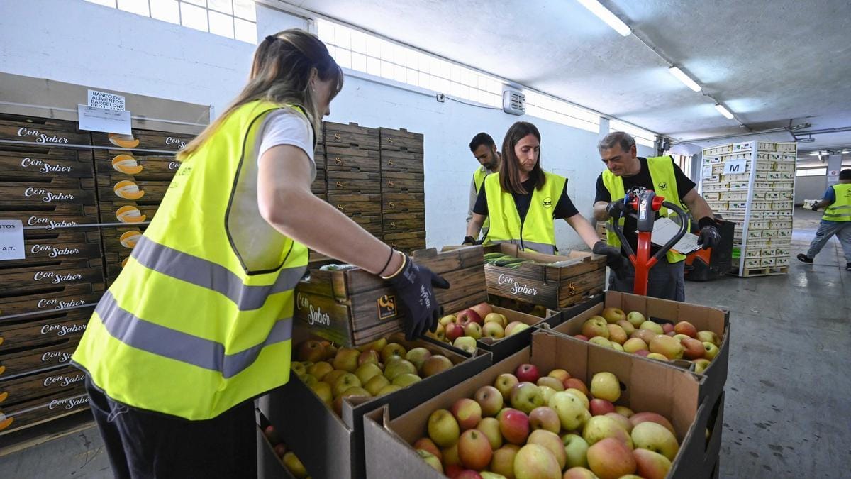 Ningún hogar sin alimentos