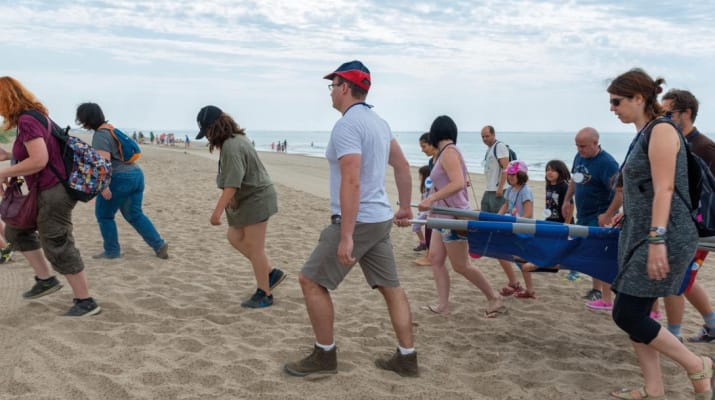 Jugateca de la platja: El dofĂ Ulisses necessita ajuda!