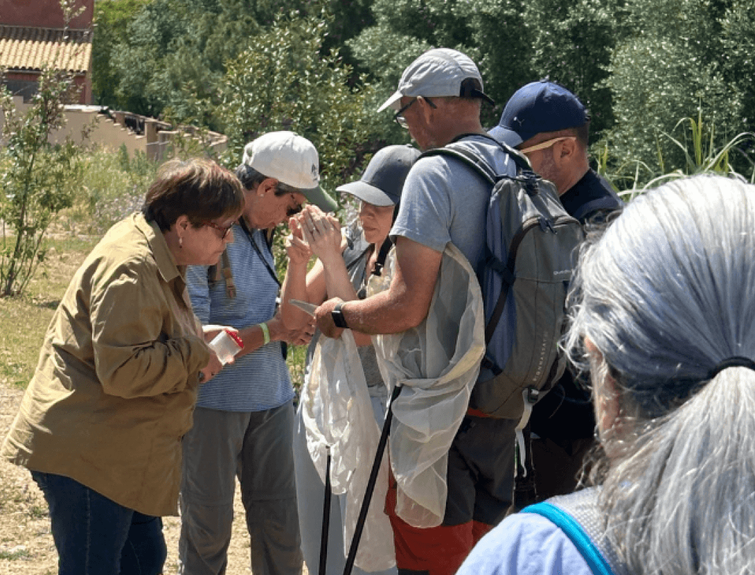 Setmana de la Natura: Itinerari per observar Papallones