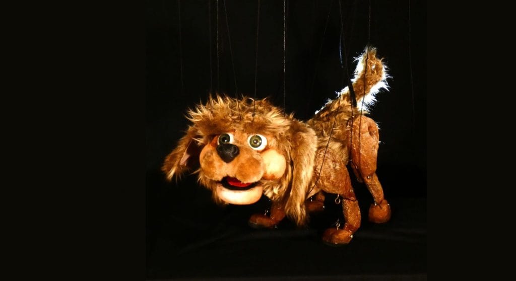 Fofi, el cachorro