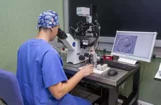 Taller de familias: Los niños nacidos por reproducción asistida tienen derecho a conocer su origen