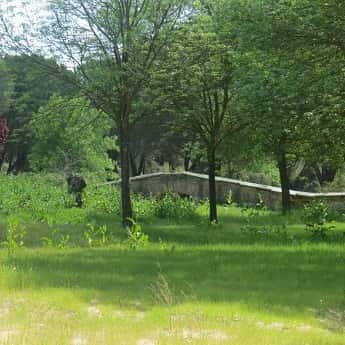 Del Parque forestal Adolfo Suarez a Casa de Campo