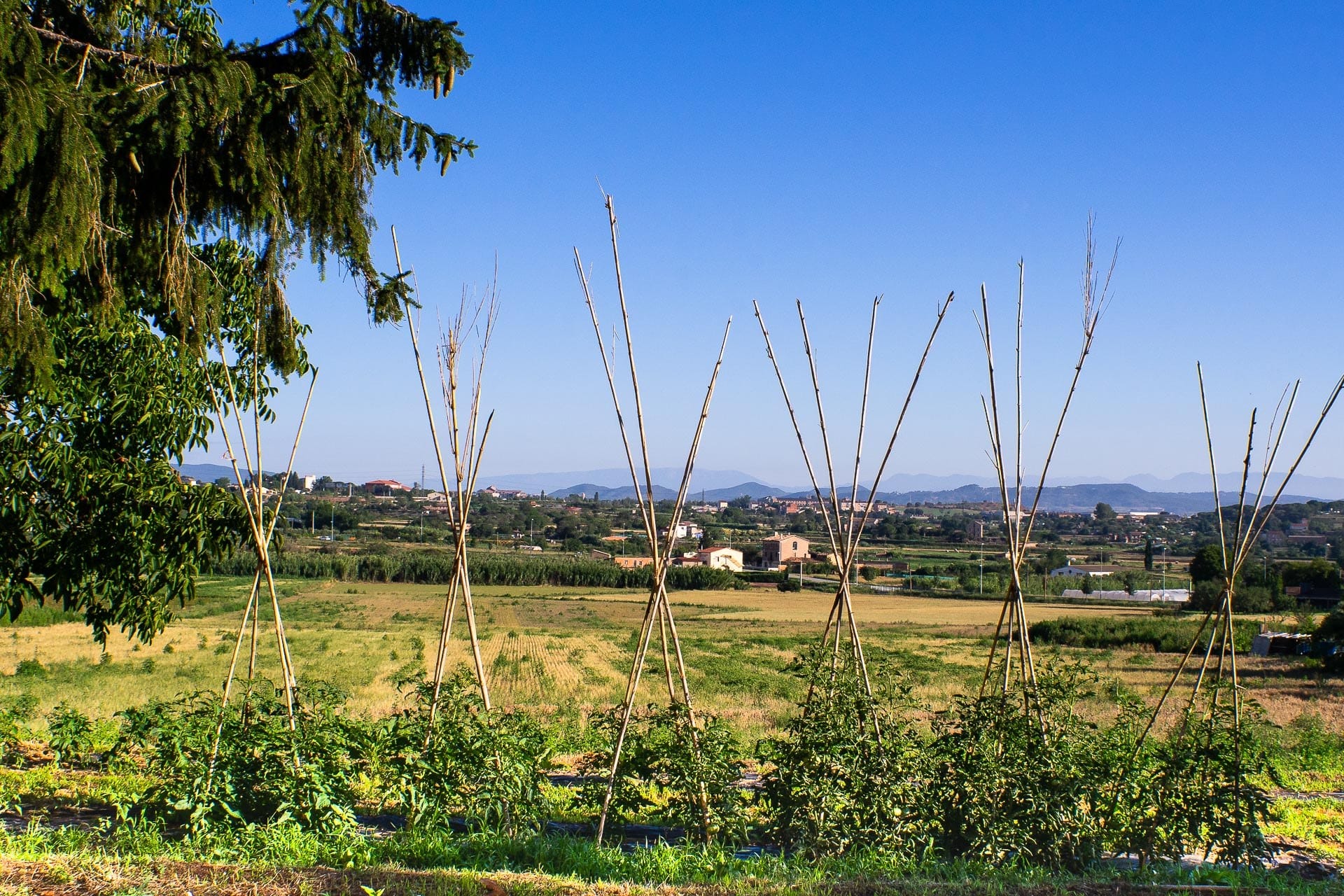 El regadiu dels Joncars i Viladordis