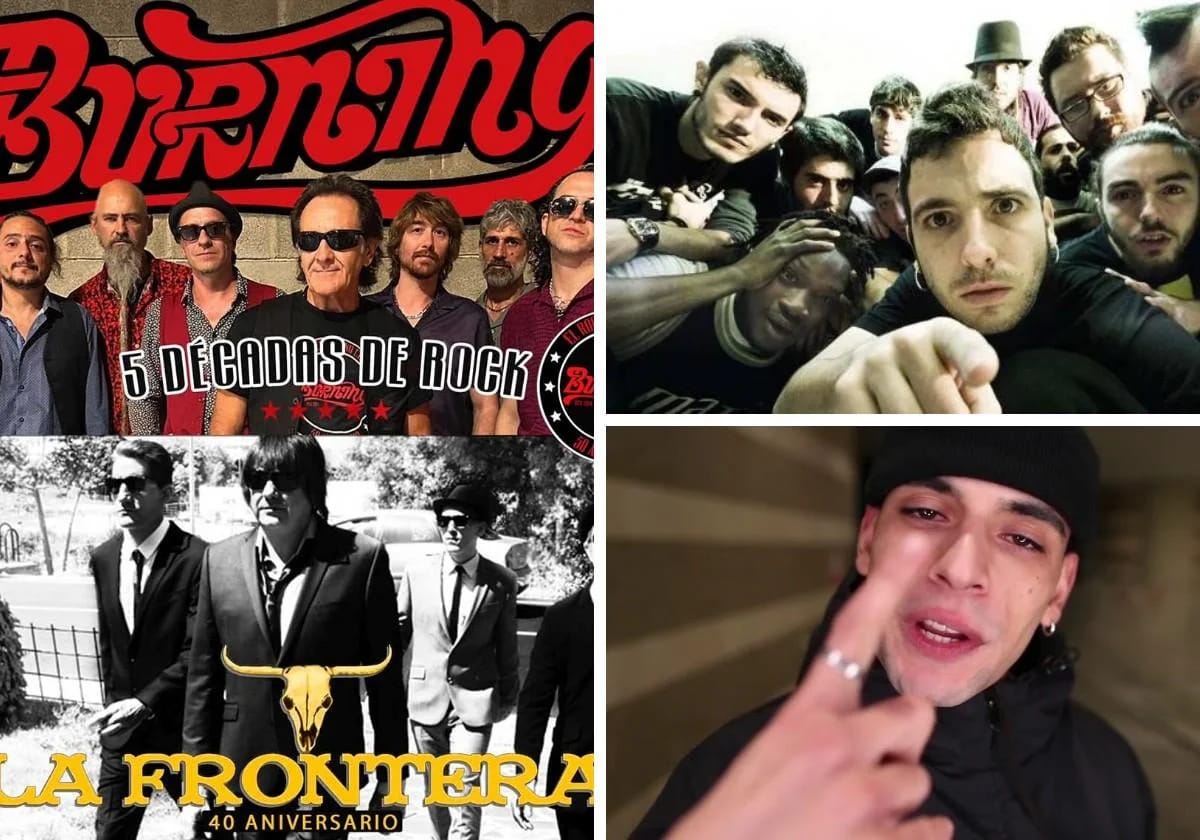 Concierto de La Raíz