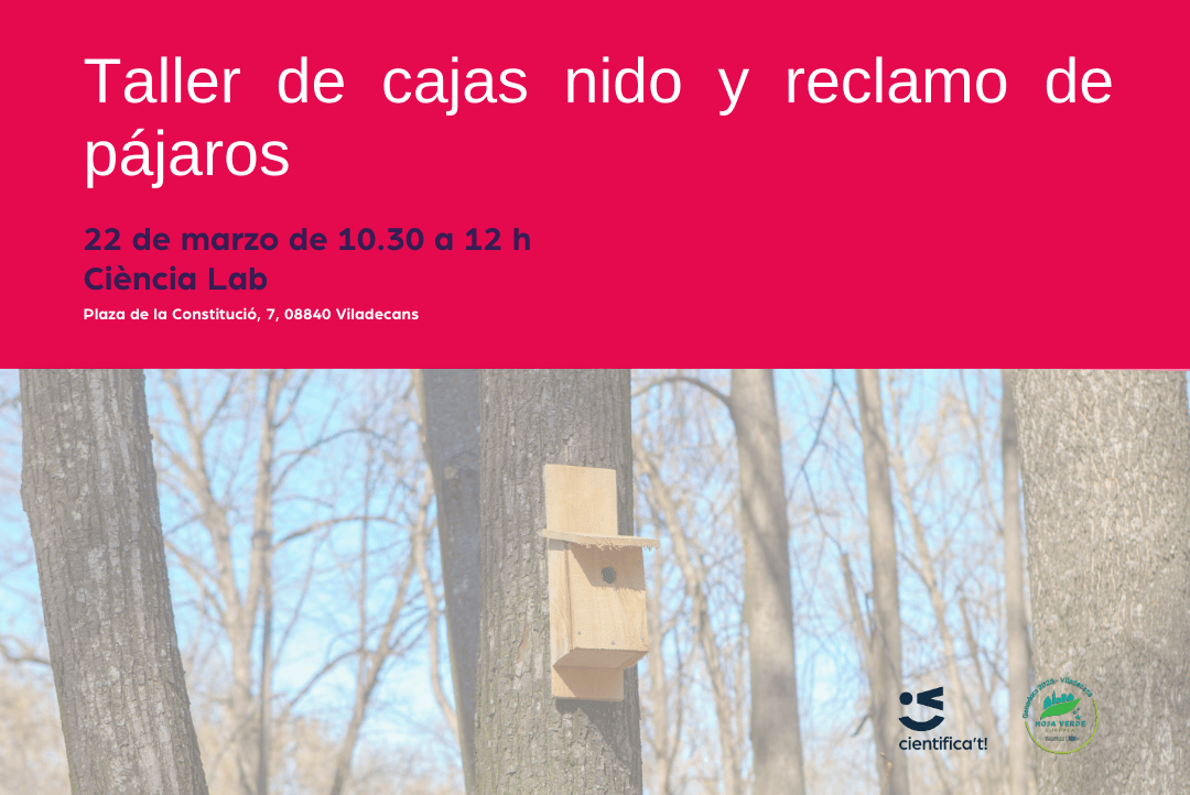 Taller de cajas nido y reclamo de pájaros