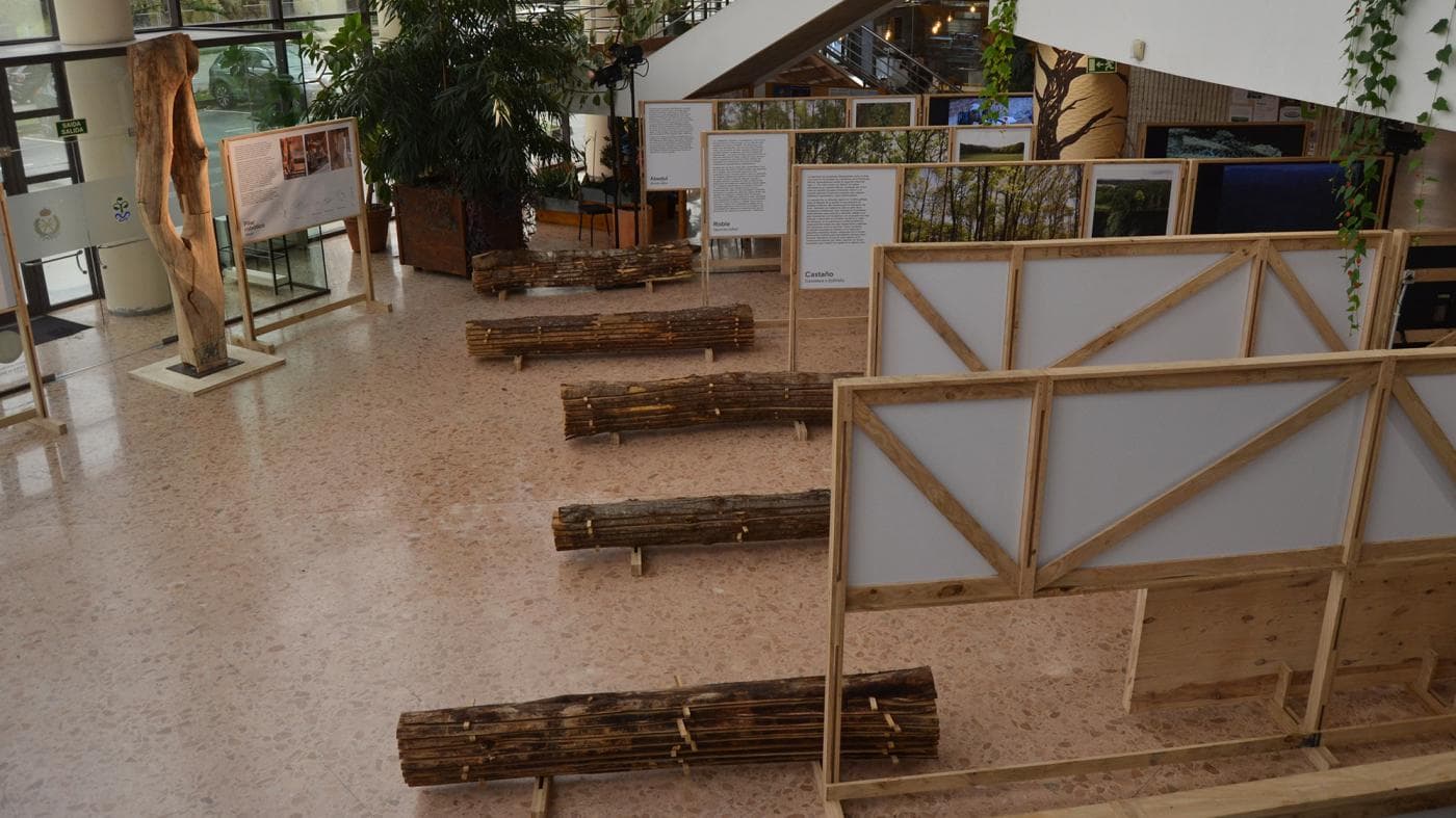Exposición 'ForestED – Del bosque a la edificación'