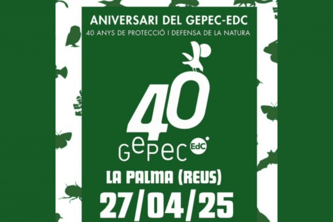 40è aniversari del GEPEC-EdC