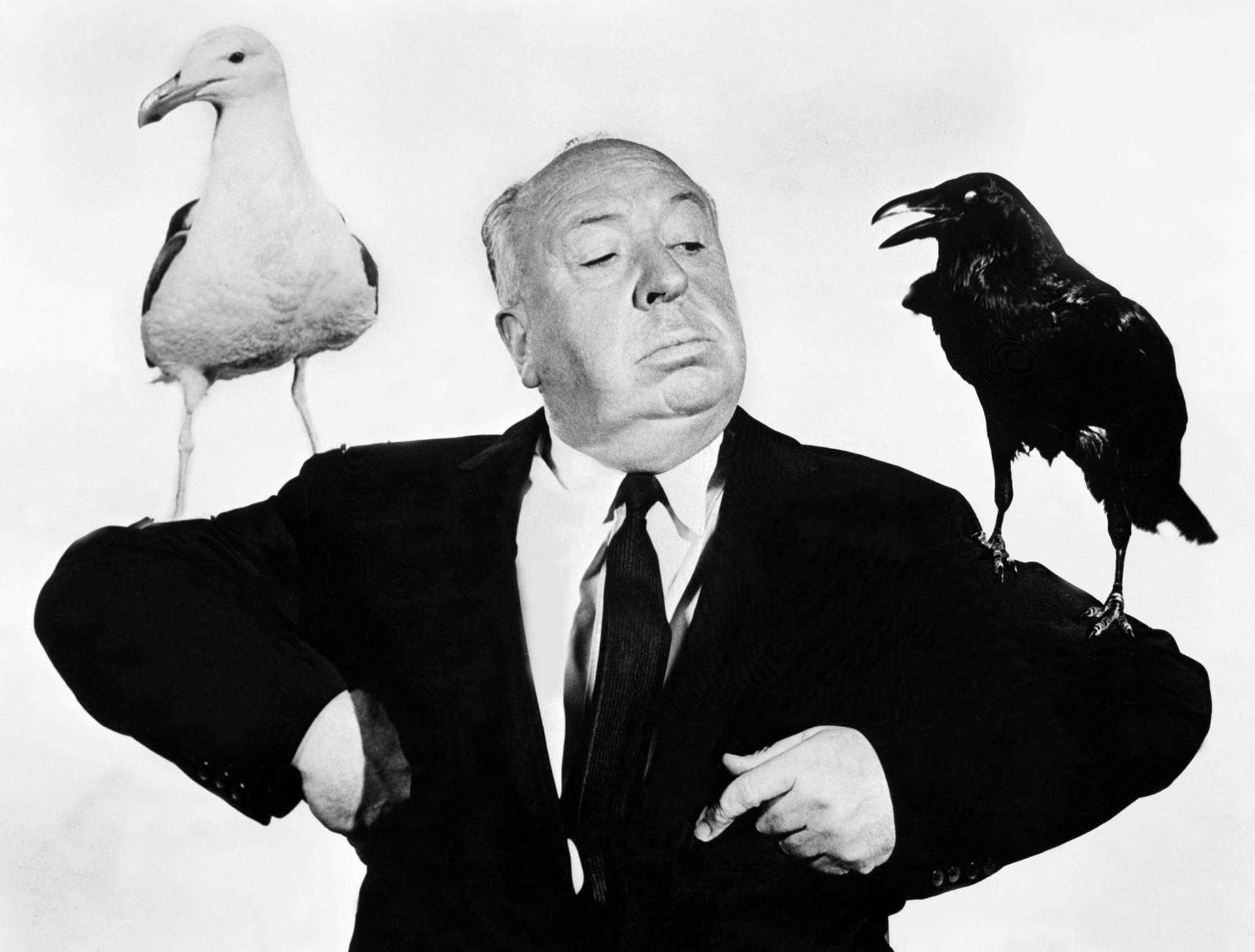 Cinema e estrelas: Los pájaros