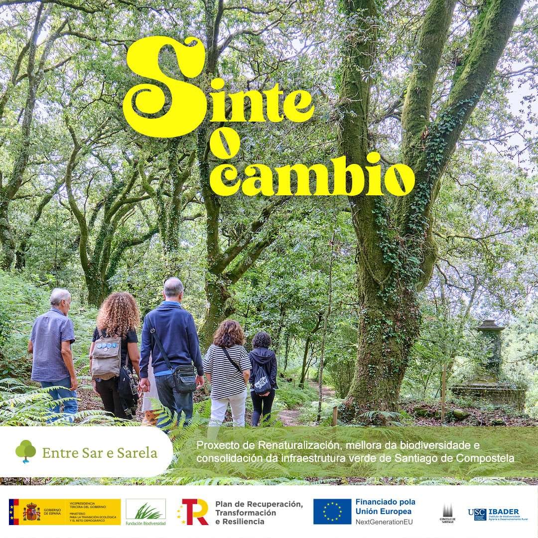 Roteiro Carballeira de Conxo