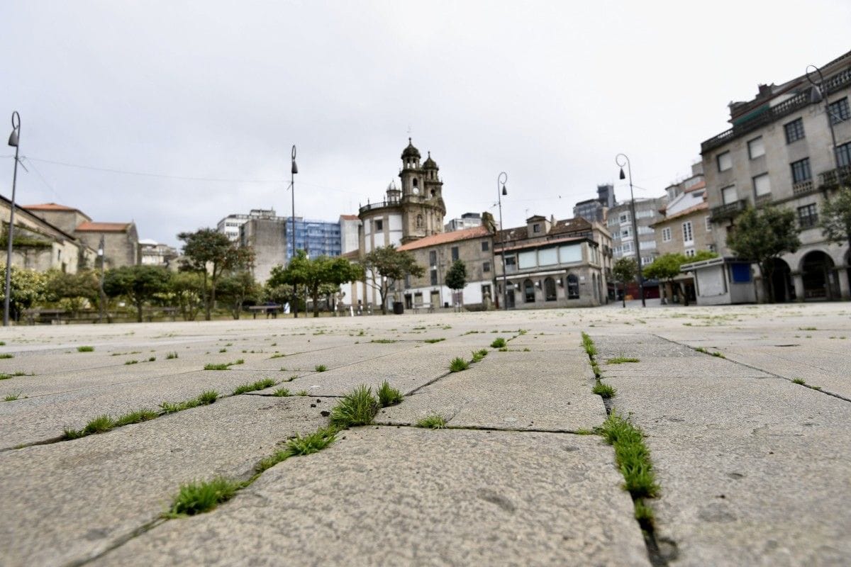 Andaina 'Las plantas silvestres de Pontevedra'