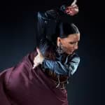 Flamenco Tablao El Paraigua