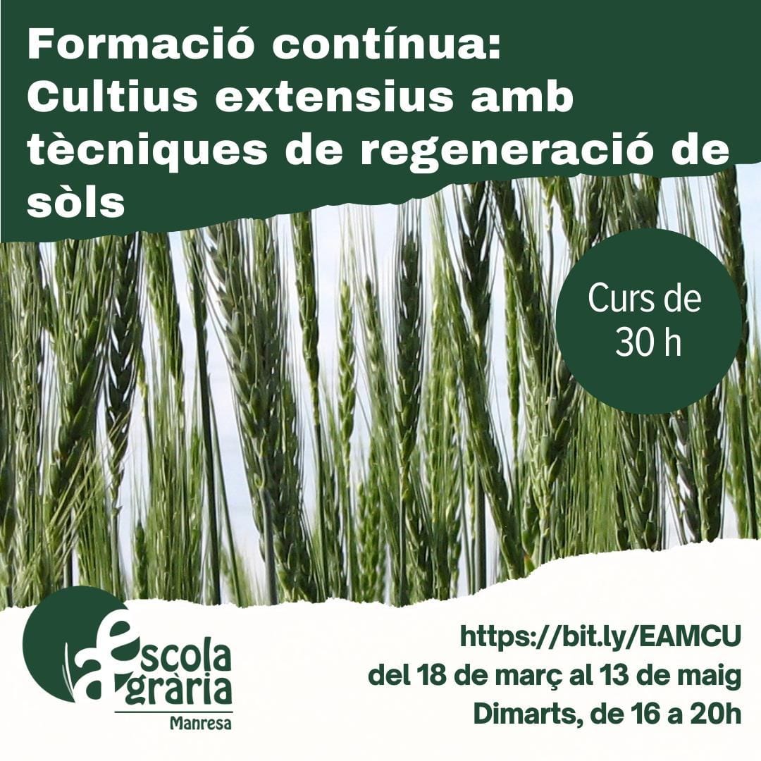 Cultius extensius amb tècniques de regeneració de sòls
