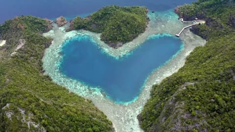 Selección del Cimasub en la Semana de Cine Submarino