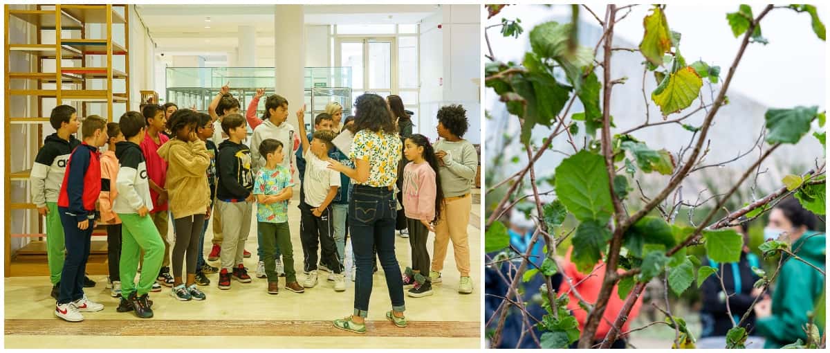 Visita arquitectónica á Cidade da Cultura