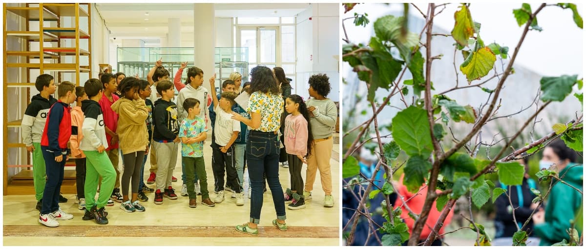 Visita arquitectónica á Cidade da Cultura