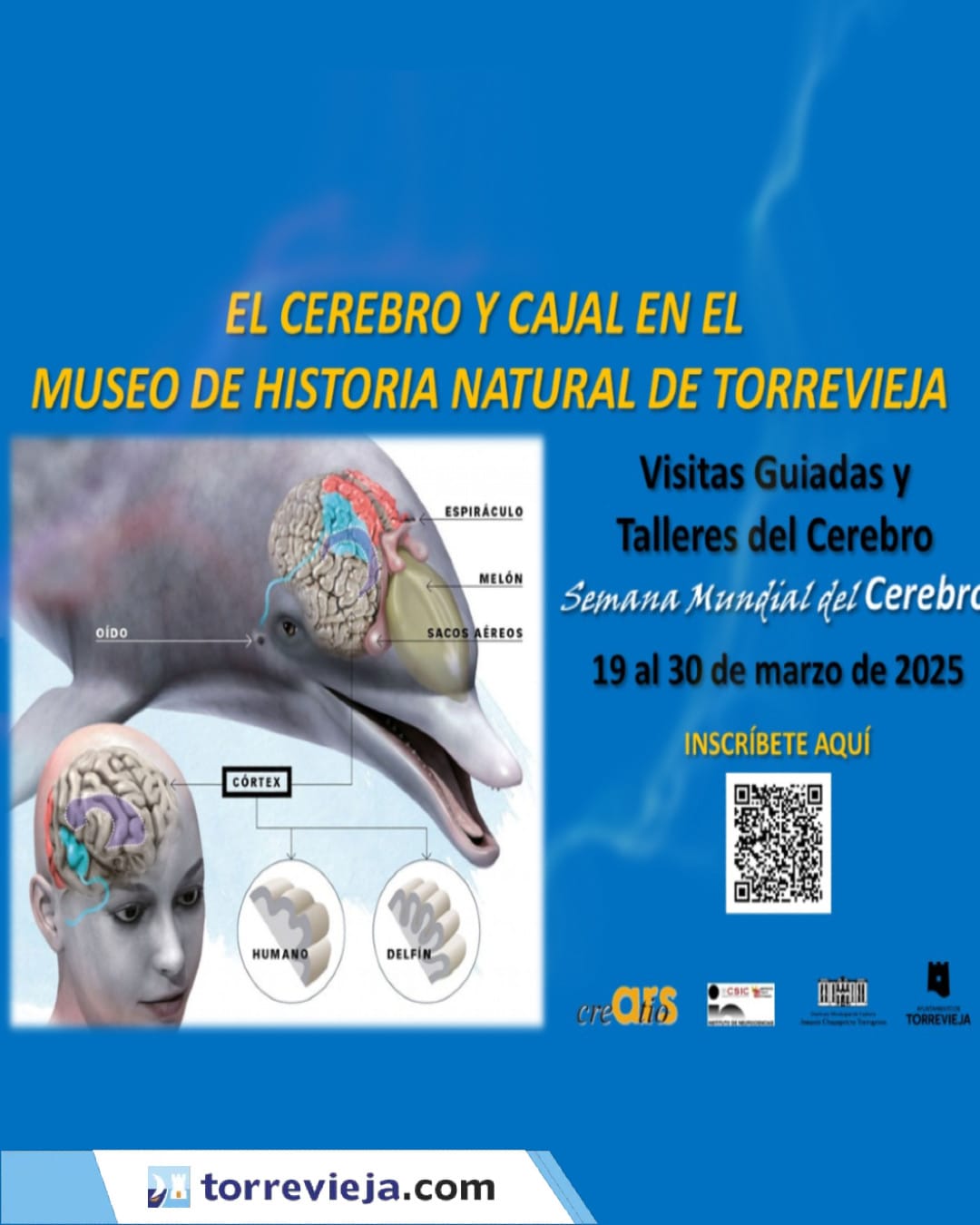 Semana Mundial del Cerebro en Torrevieja 2025