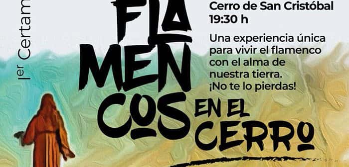 Flamencos en el Cerro