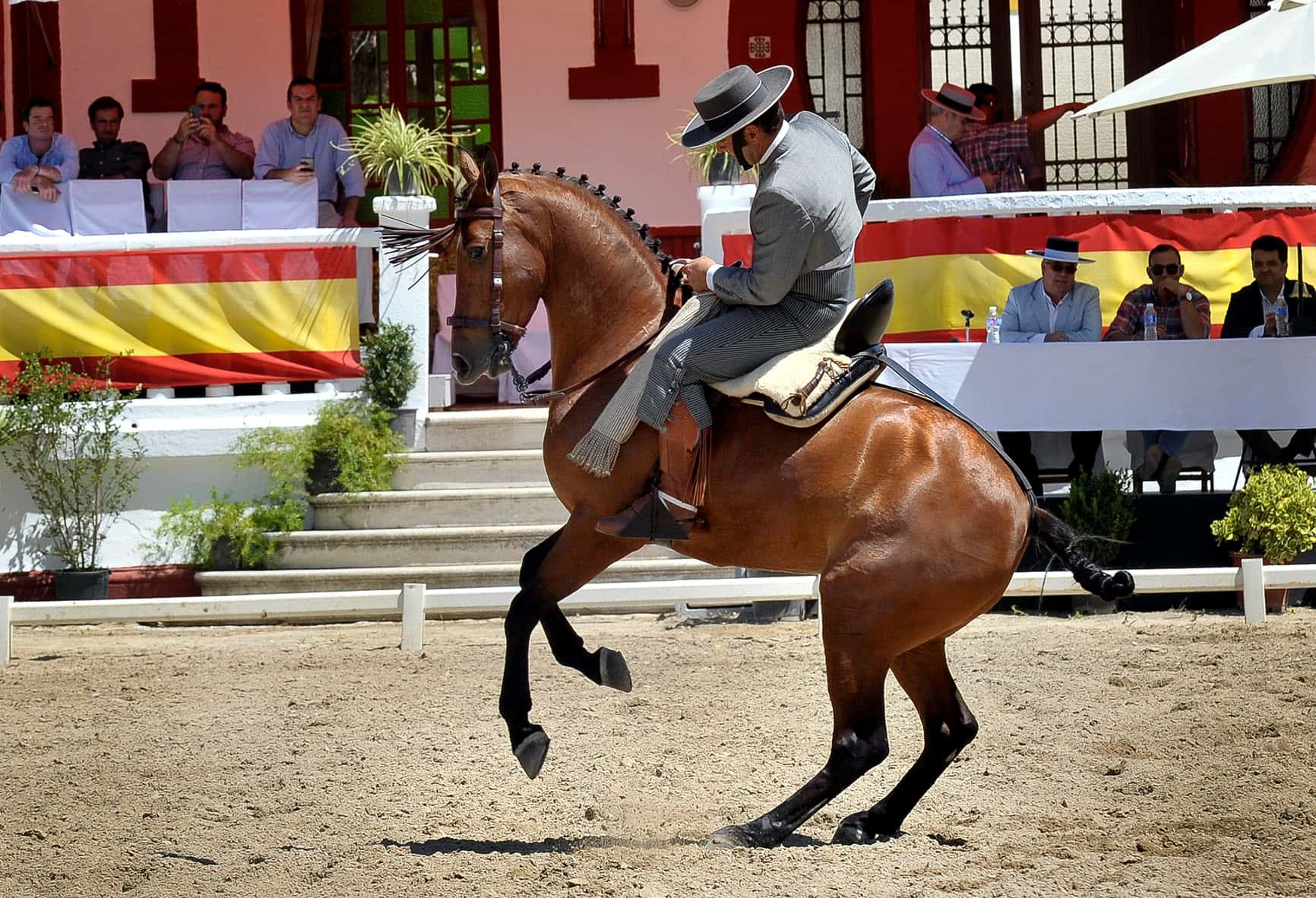 LIII Concurso Nacional de Doma Vaquera