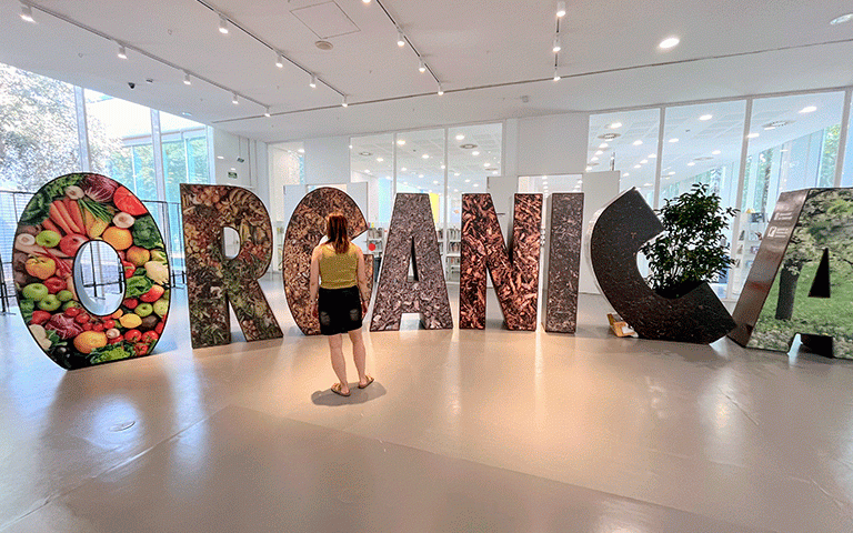 Exposicions