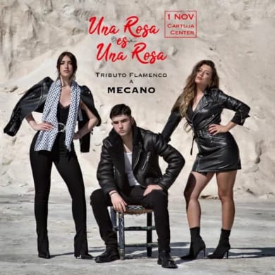 UNA ROSA ES UNA ROSA – Un tributo flamenco a Mecano