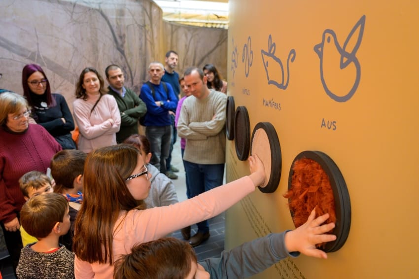 Visita guiada a la exposición: 'Tú Investigues!'