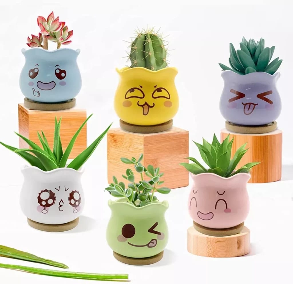 Taller – Testos encantats. Petits jardins amb ànima