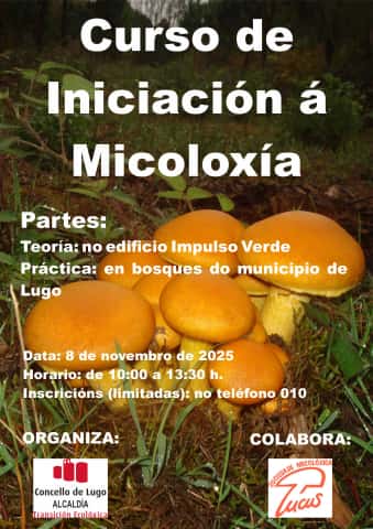 Curso de Iniciación á Micoloxía