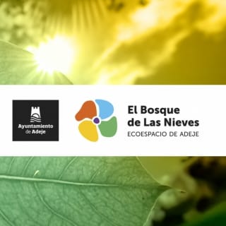 Día Mundial del Medio Ambiente en el Bosque de las Nieves