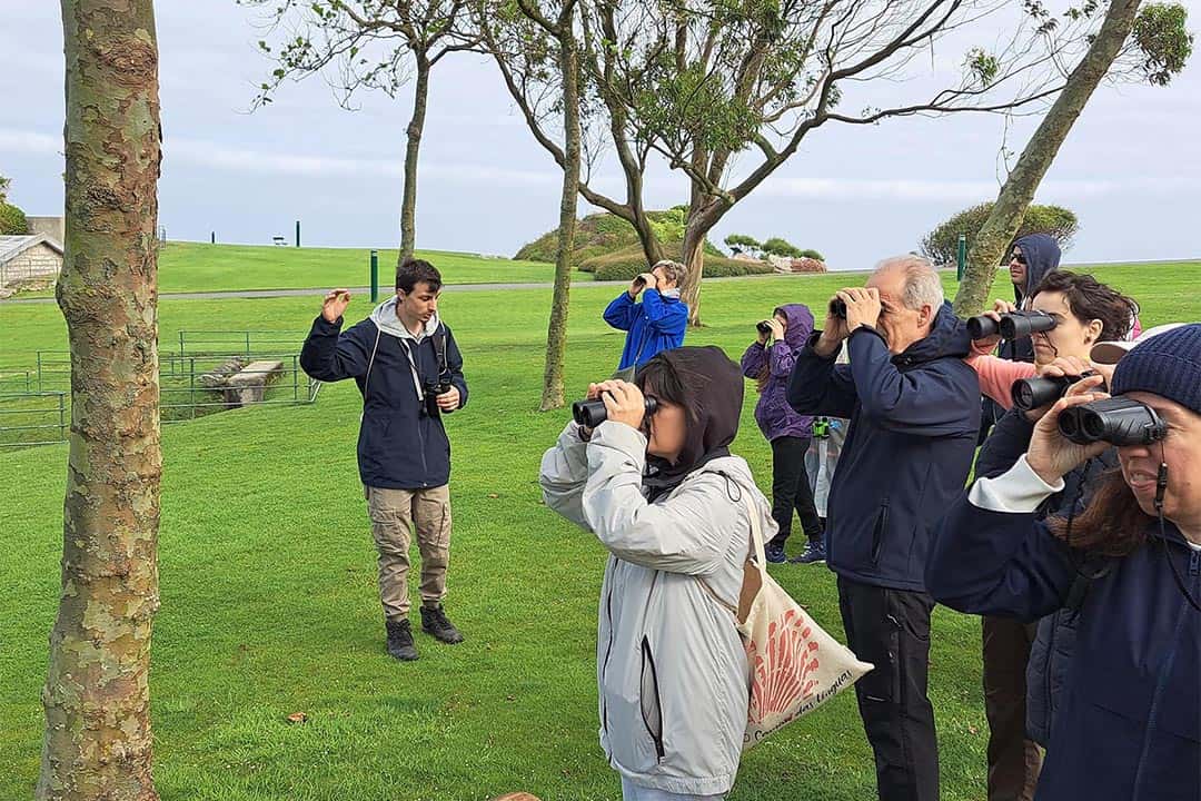 Observación de aves. Itinerario ornitológico Parque do Monte de San Pedro