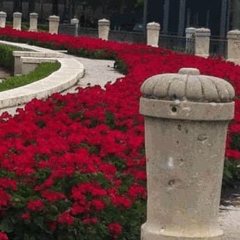 Itinerario guiado en la calle de Bailén