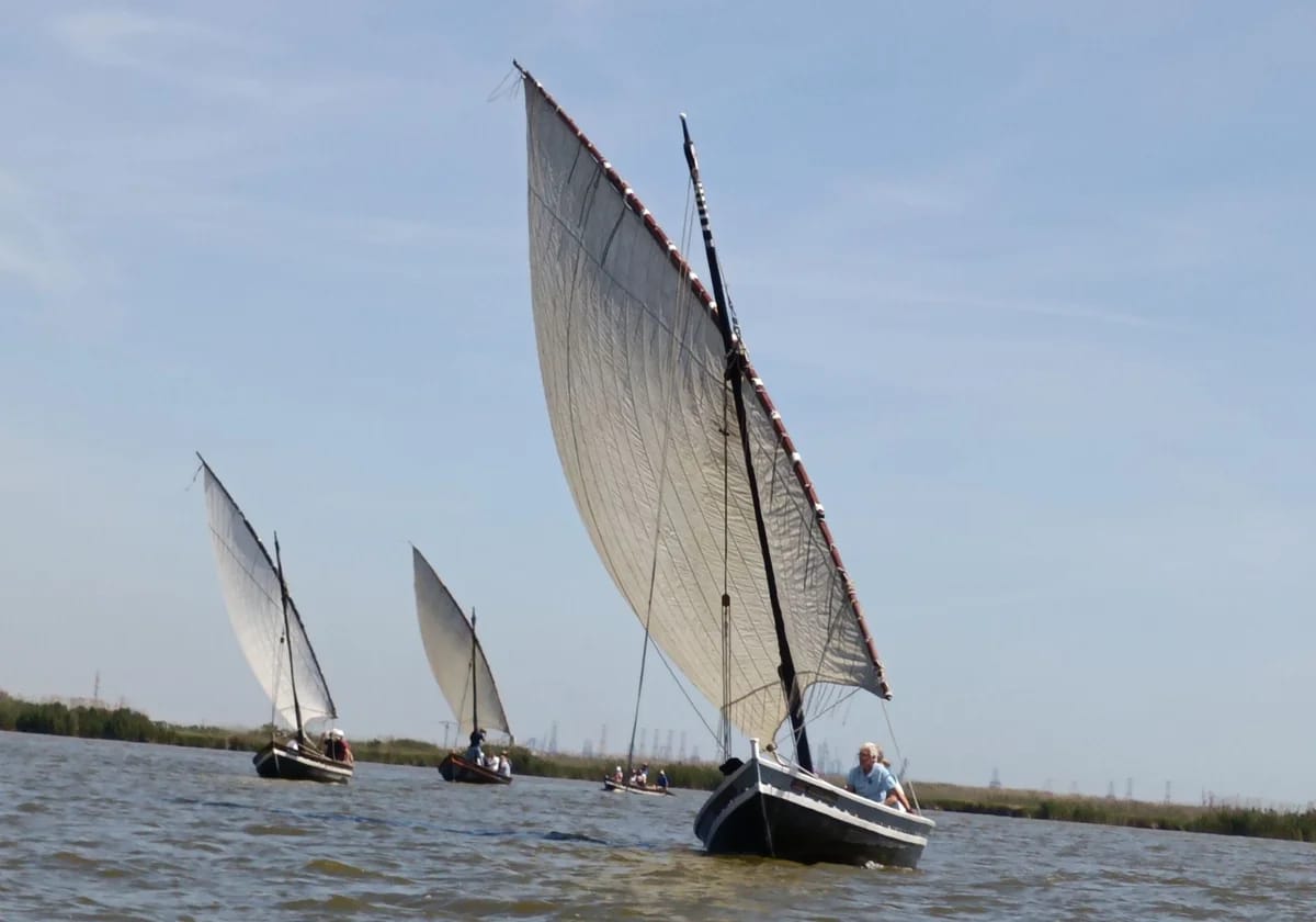 Exhibición de vela latina