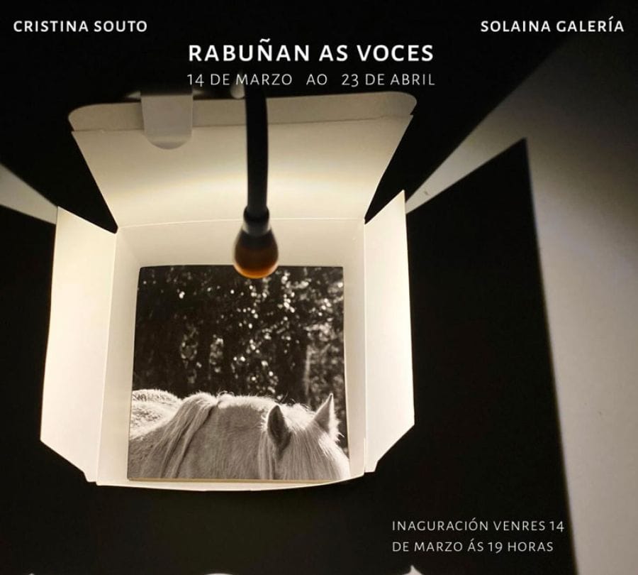 Inauguración Exposición | RABUÑAN AS VOCES de Cris Souto