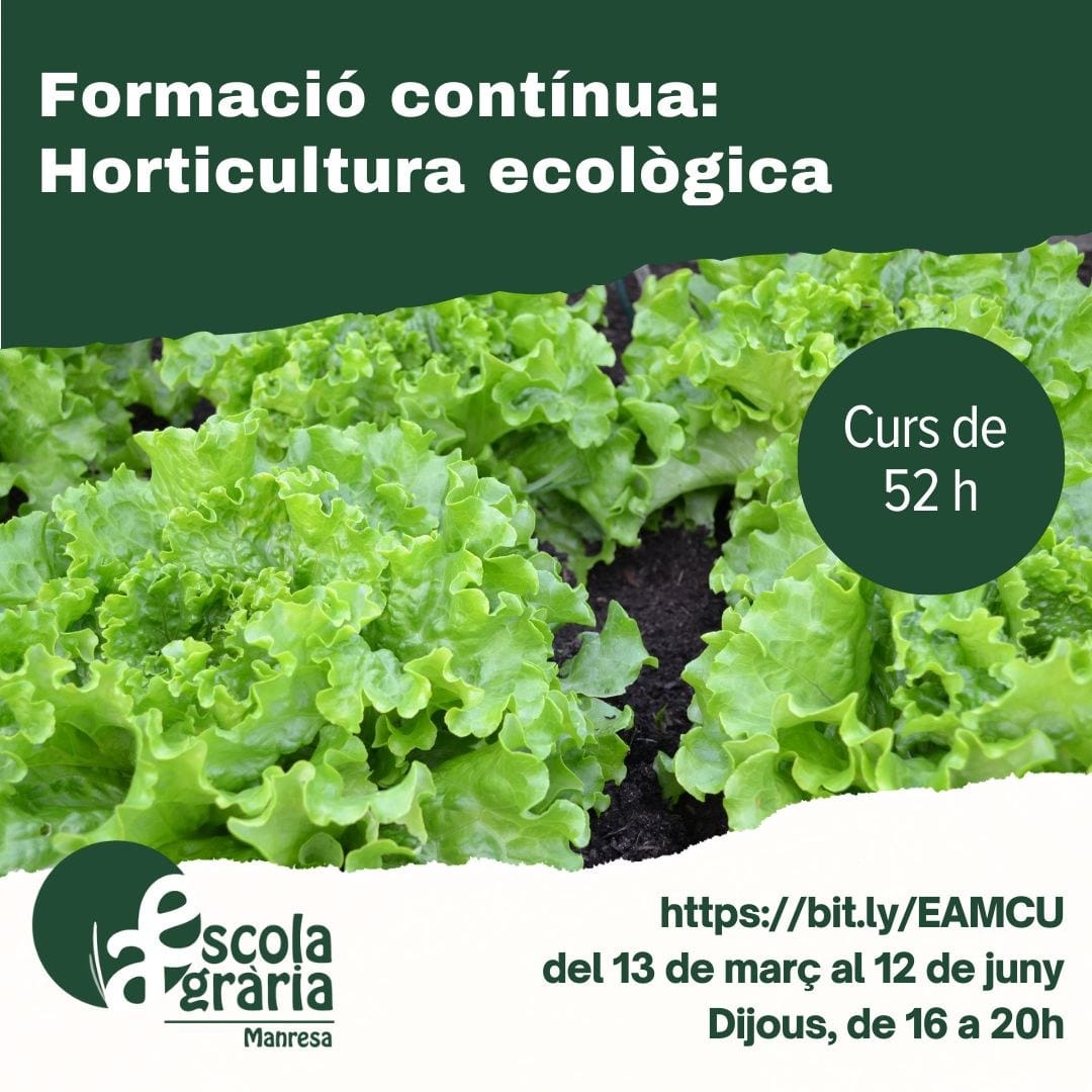 Horticultura ecològica