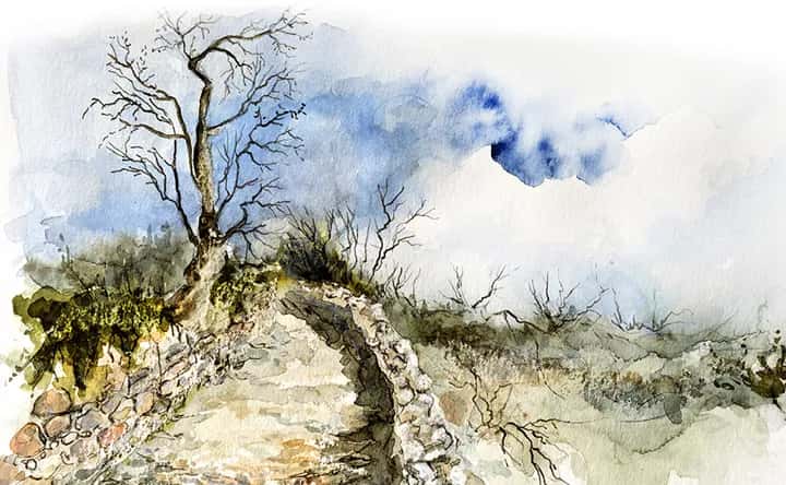 'Huesca, poesía y camino'