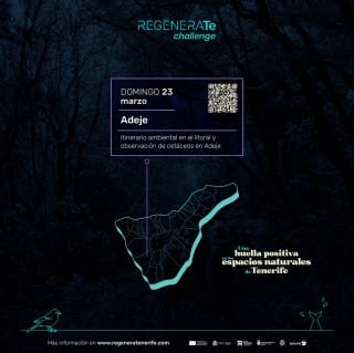 REGENERATe challenge Adeje