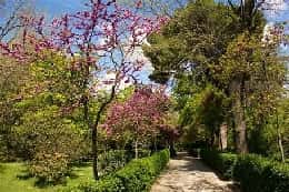 Senda 'Los Caprichos del Retiro'