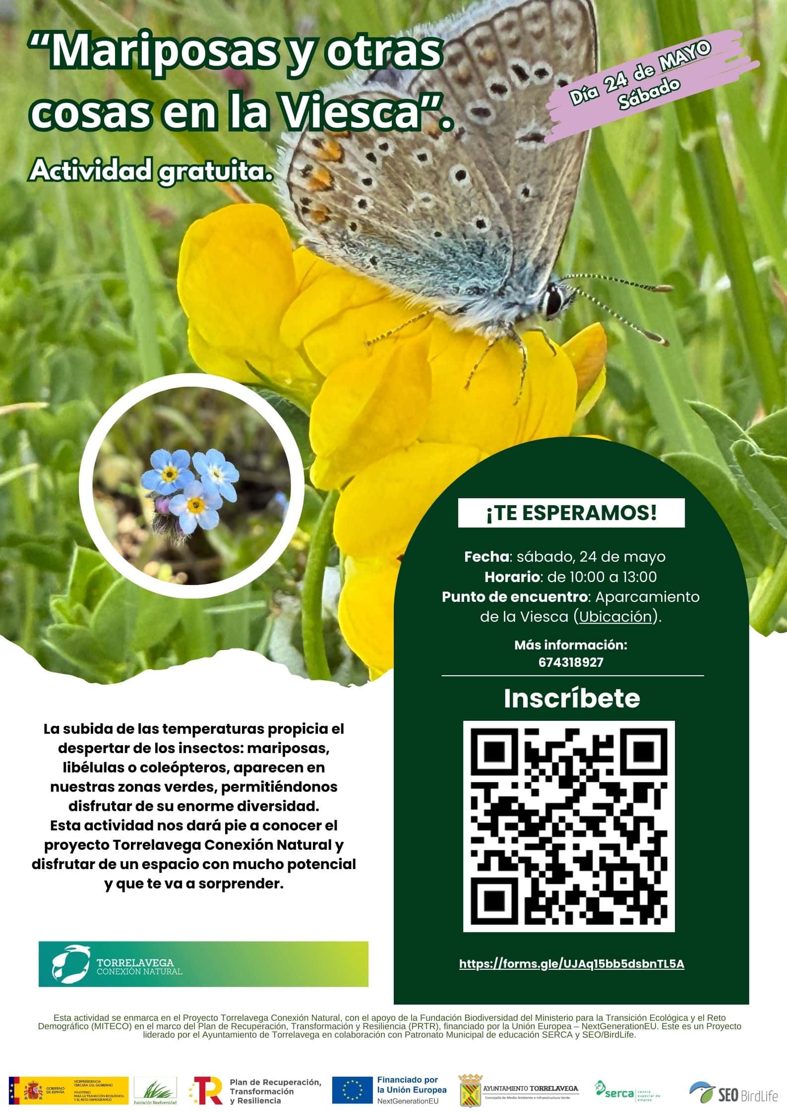 Mariposas y otras cosas en La Viesca