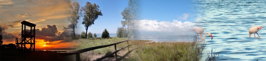 Ecoruta: Una laguna de sal