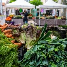 Mercat de productes ecològics i de proximitat