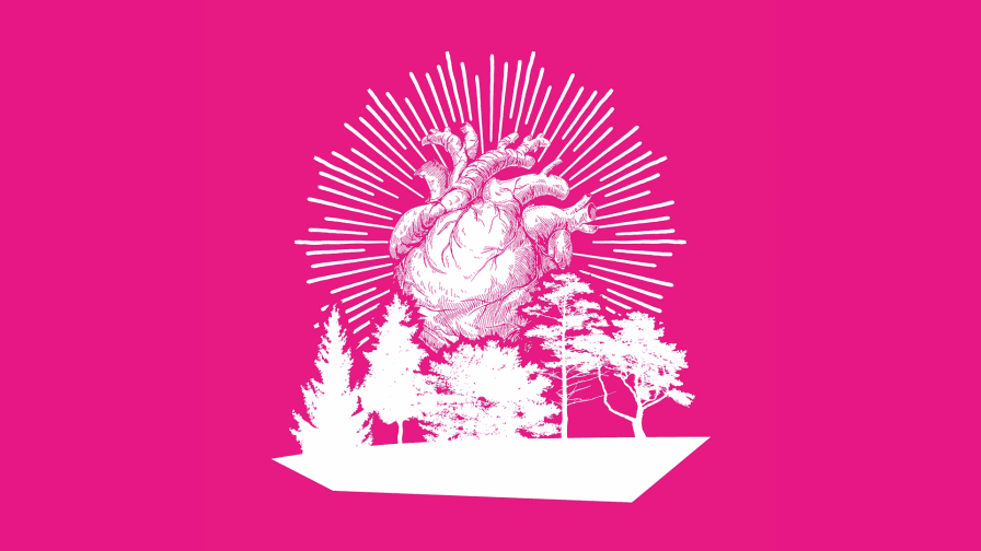 AQUÍ TAMBIÉN LOS ÁRBOLES SON VERDES