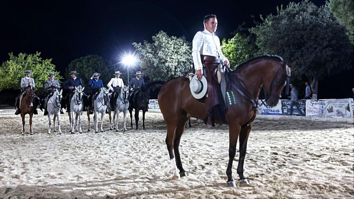 IV Festival Internacional y Campeonato de España de Pura Sangre Lusitano en Doma y Morfología