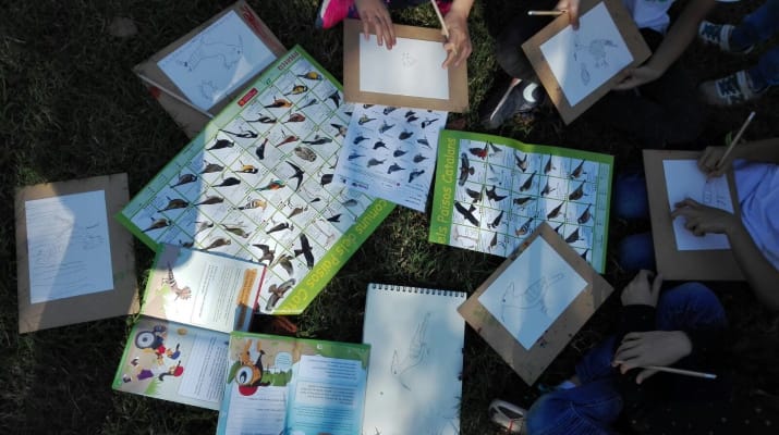 Jugateca al parc del Riu: Dibuixem la biodiversitat