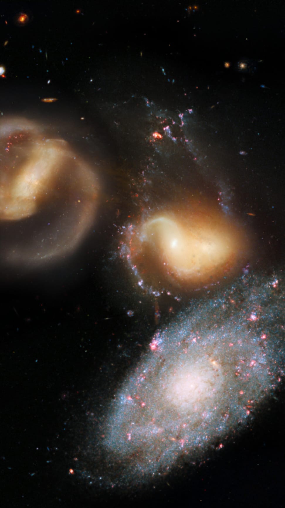 Planetari +8 anys - El cel de la primavera: galàxies i més galàxies