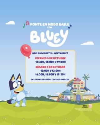 Bluey the Musical