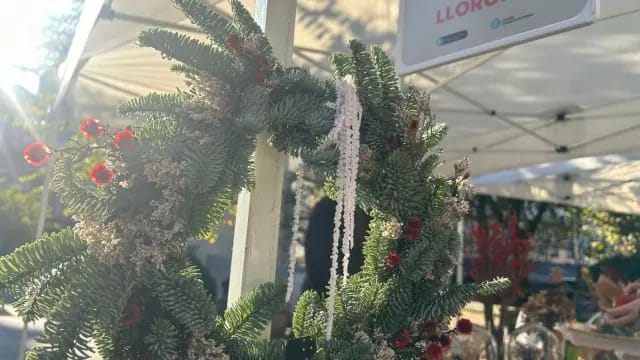 Mercado ecológico en Campo da Leña