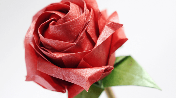Roses de paper plantable