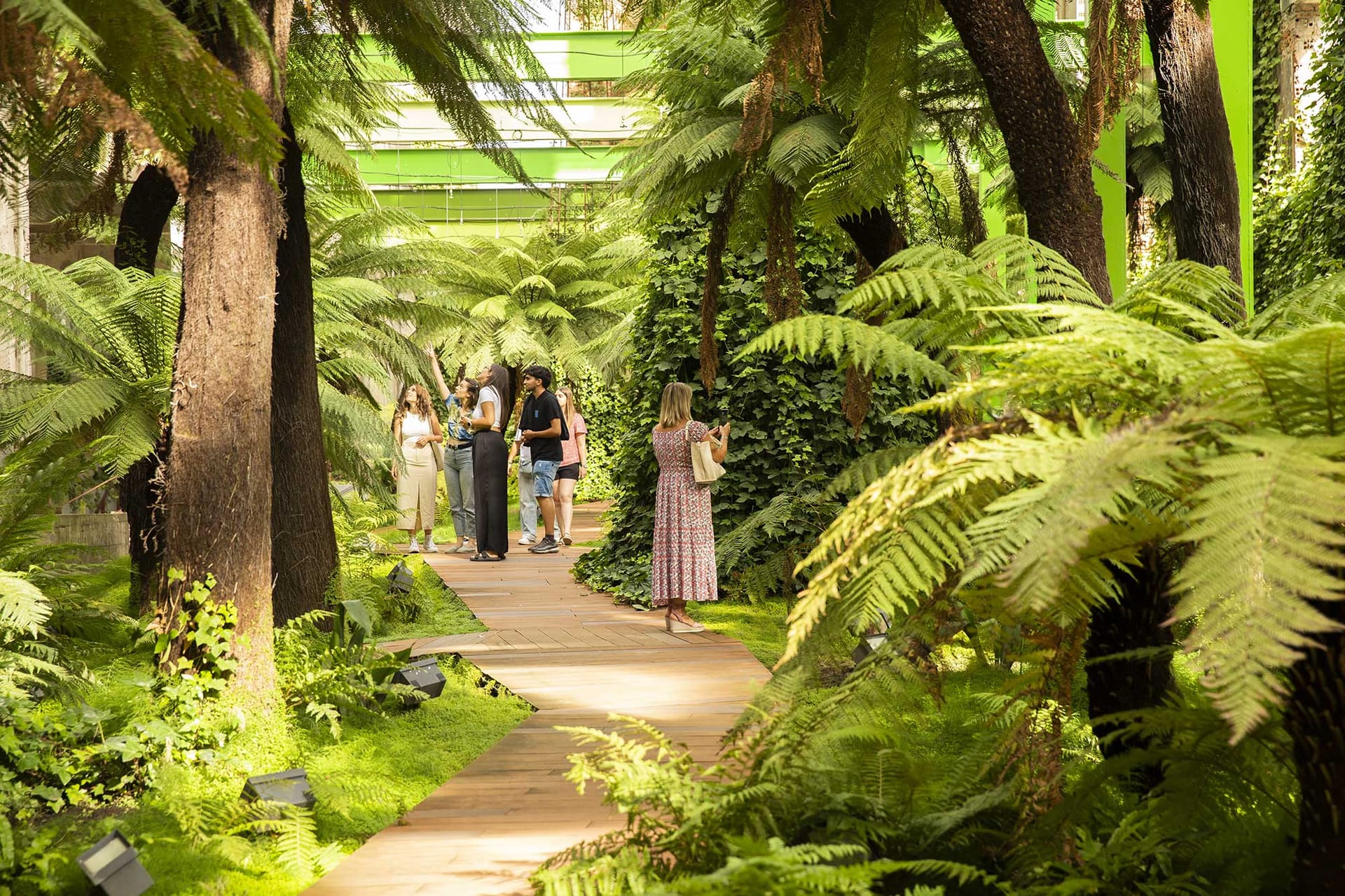 Entre helechos: visitas guiadas para conocer en profundidad las especies que conforman Fuego Verde