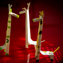 Animalario en la Biblioteca San Fermín